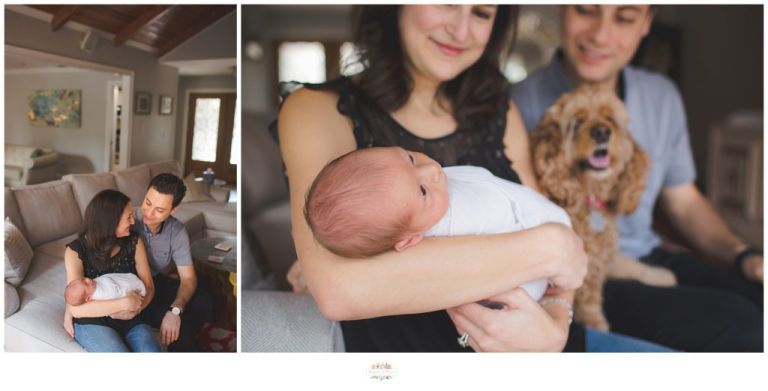 Lake Mary Photographer