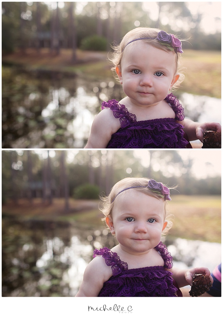 Orlando | Orlando Family Photographer |  MCP 2014 15