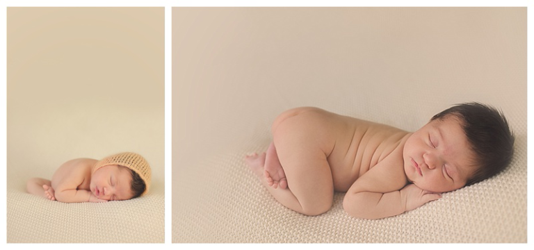 Longwood Photographer