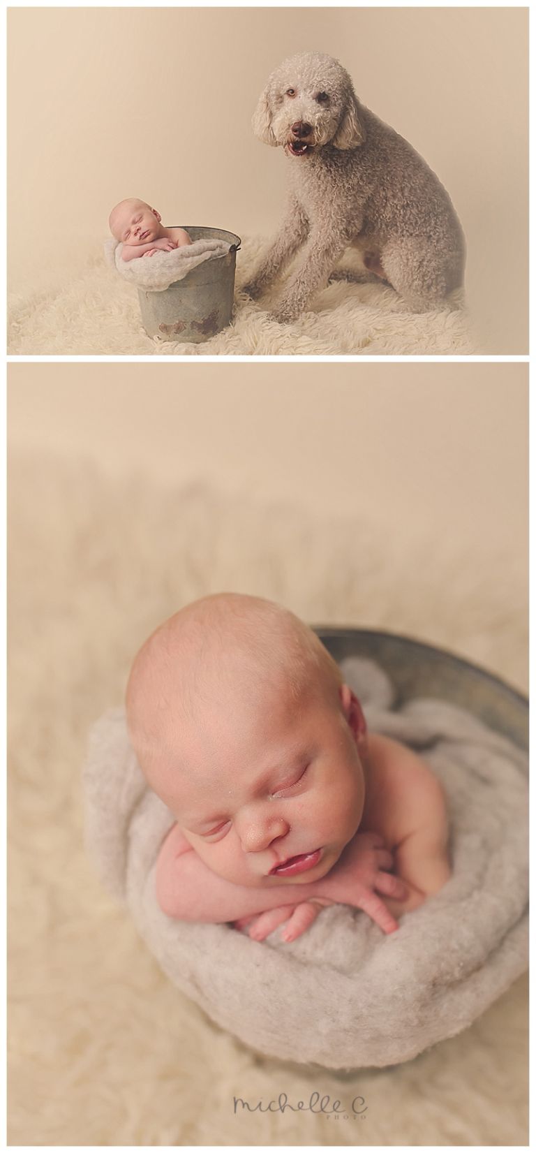 Winter Park Newborn Photographer | MCP 201513