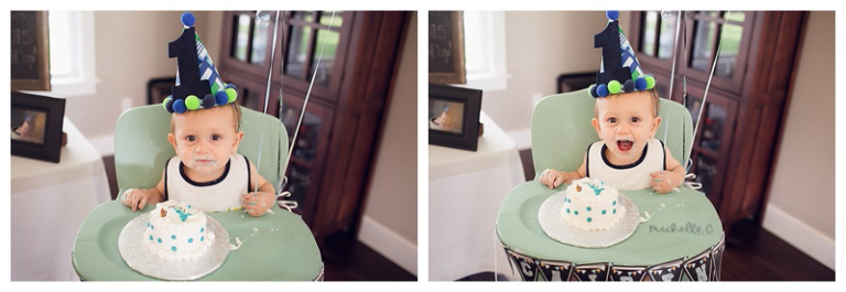 Milk and Cookies Birthday Party | MCP 201507