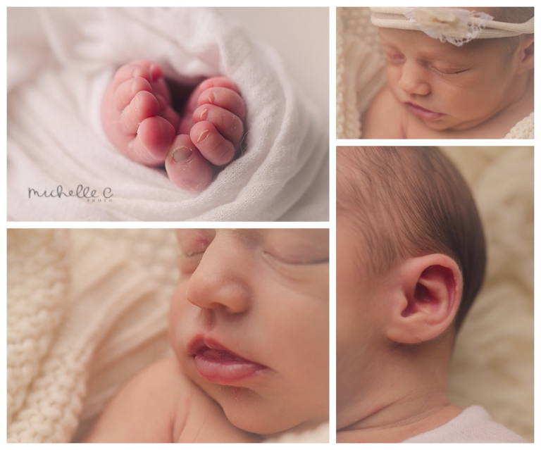 Winter Garden Newborn Photographer