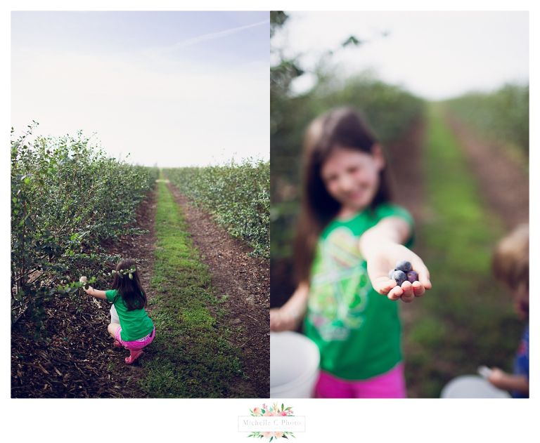 Southern Hills Blueberry Farm | Orlando Family Photographer | MCP 201606