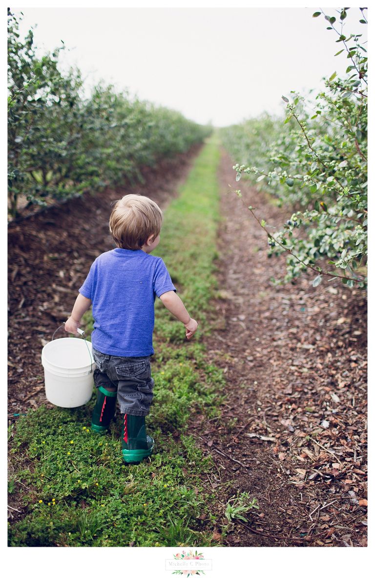 Southern Hills Blueberry Farm | Orlando Family Photographer | MCP 201607