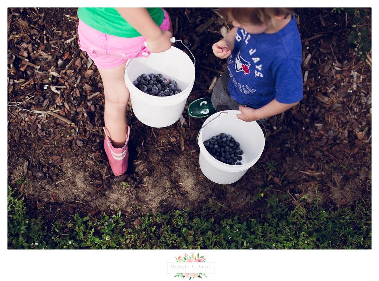Southern Hills Blueberry Farm | Orlando Family Photographer | MCP 201611