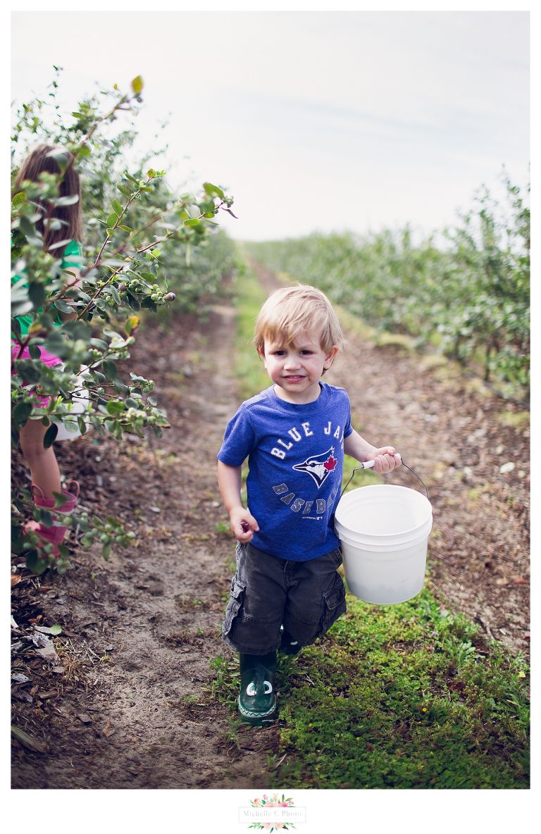 Blueberry picking Florida