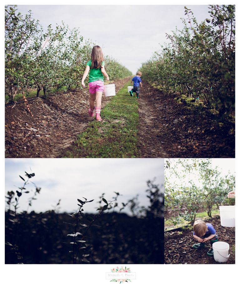 Southern Hills Blueberry Farm | Orlando Family Photographer | MCP 201613