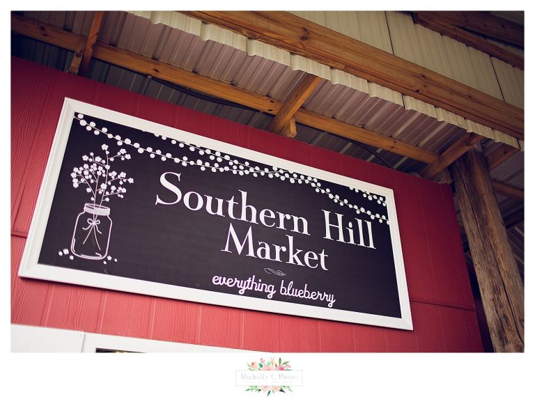 Southern Hills Blueberry Farm | Orlando Family Photographer | MCP 201615