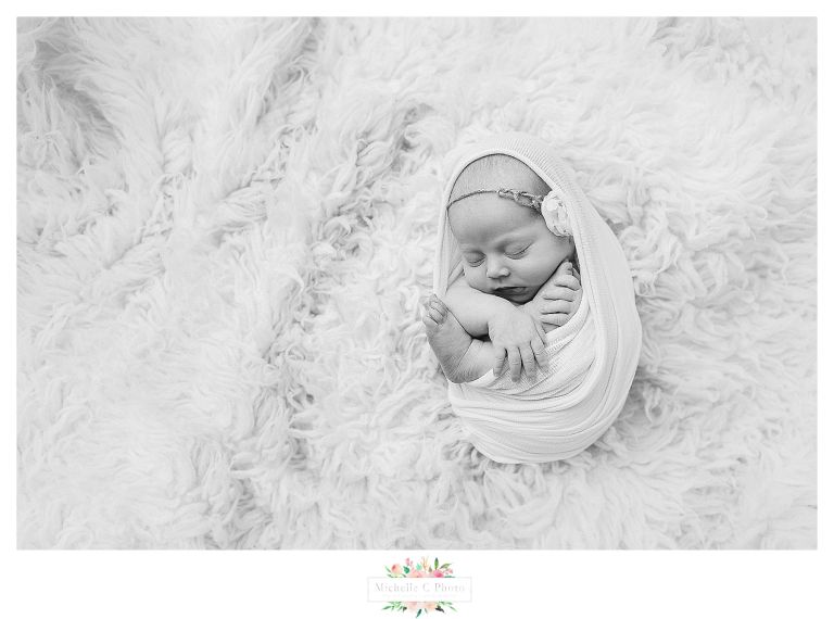 Orlando photographer