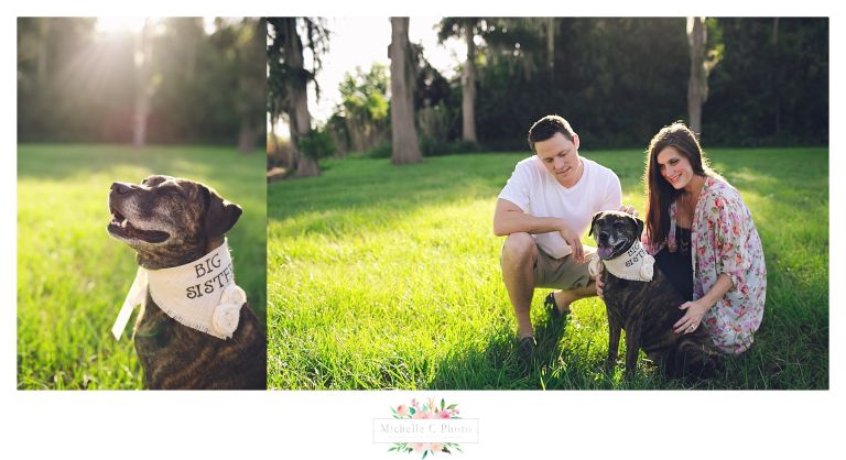 Orlando Maternity Photographer | Pregnancy Pictures | MCP 2016 16