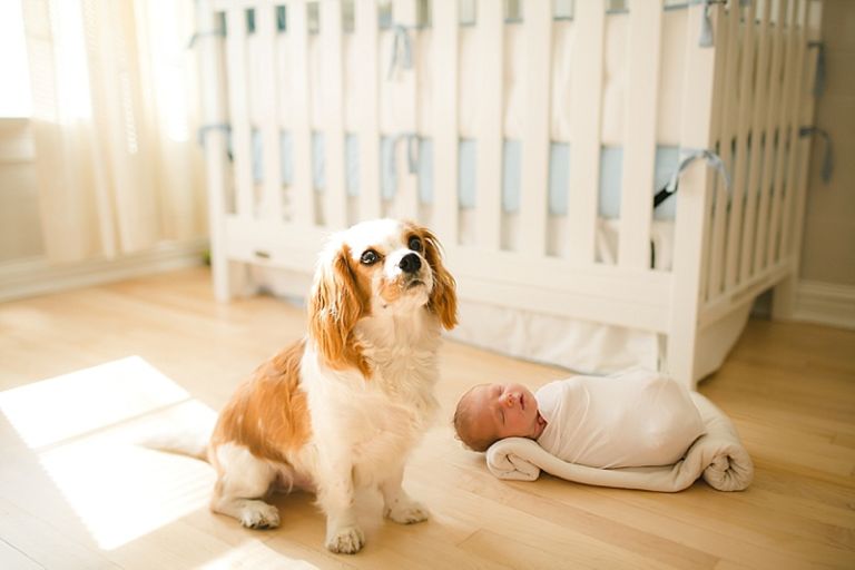 orlando-photographer-mcp-201608