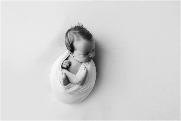 apopka newborn photographer
