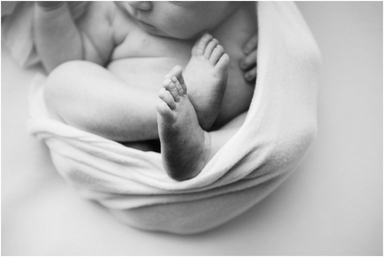 Orlando Photographer