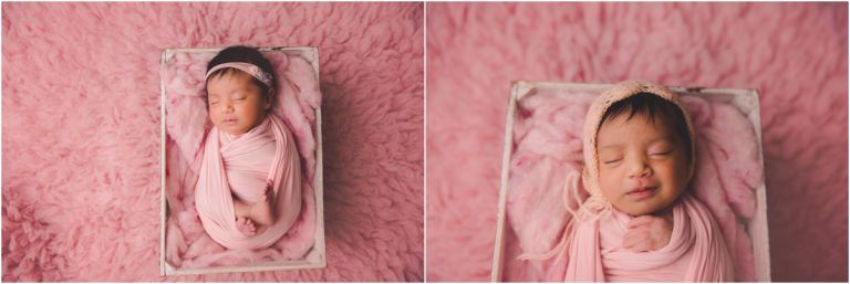 florida newborn photographer