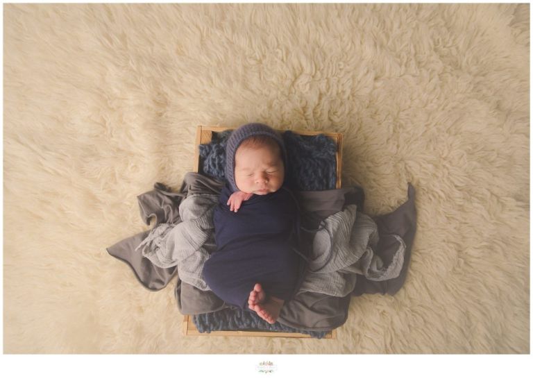 Winter Park Newborn Photographer