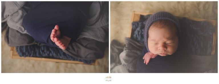 Sanford Newborn Photographer