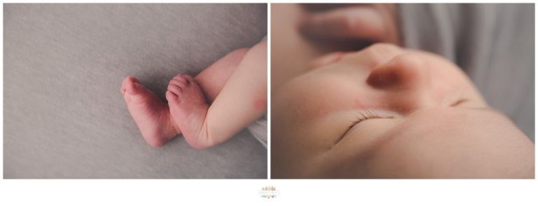 Winter Springs Newborn Photography