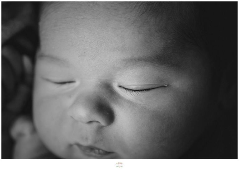 Longwood Children's Photographer