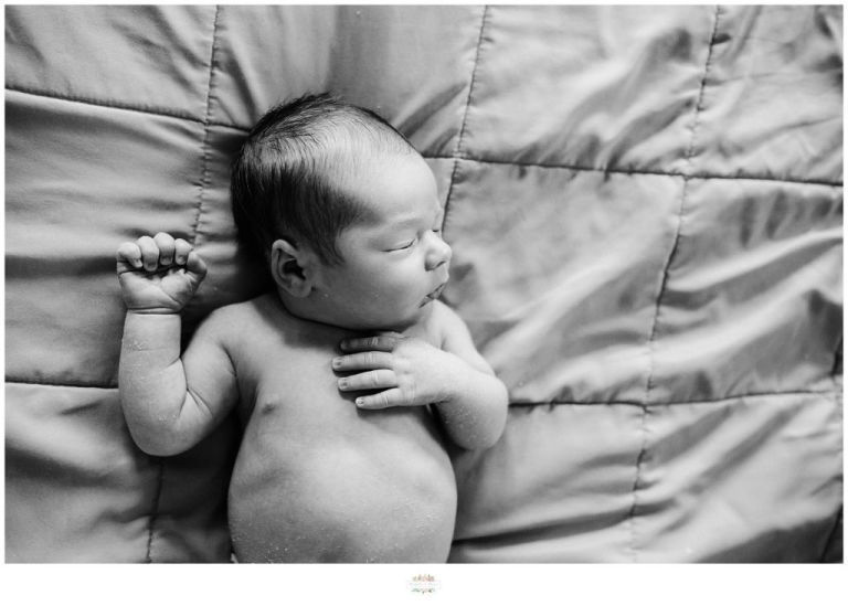 Winter Garden Newborn Photographer