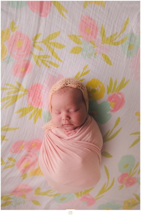 Apopka Newborn Photography