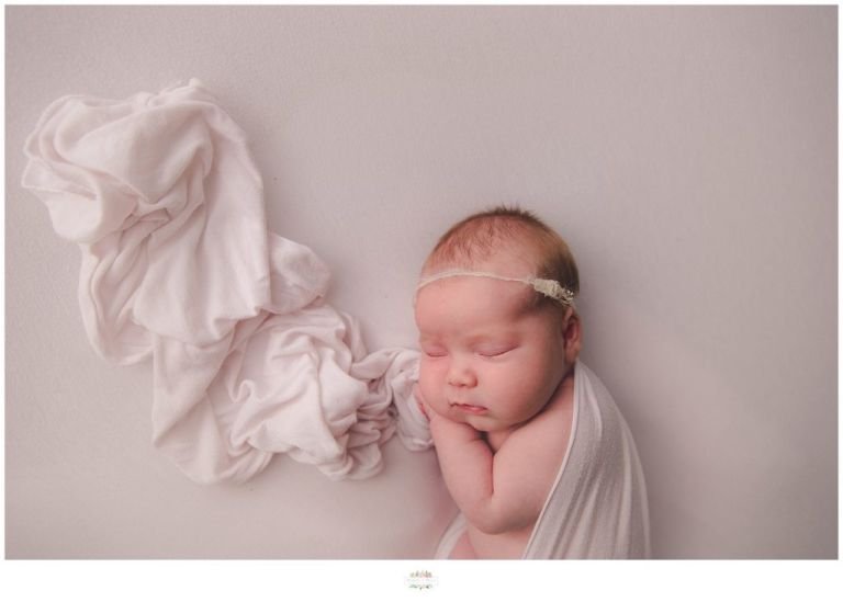 Longwood Newborn Photographer