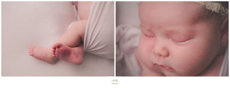 Winter Garden Newborn Photographer