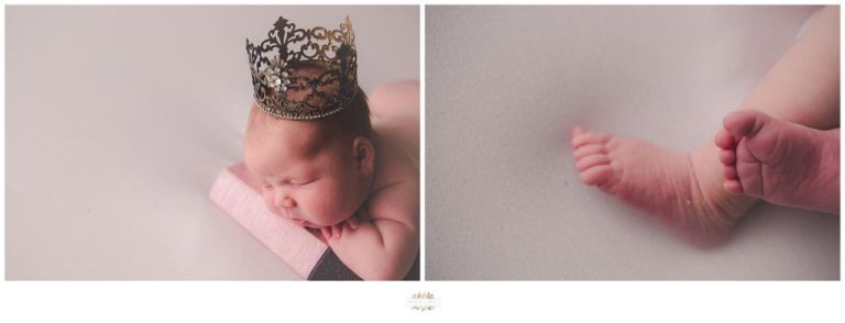 Sanford Newborn Photographer