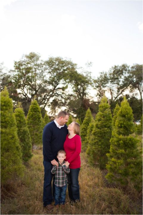 santas christmas tree farm 