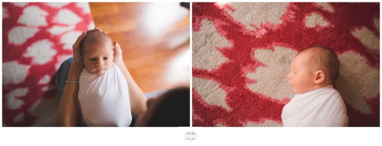 Longwood Photographer