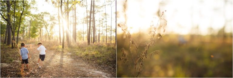 winter garden photographer