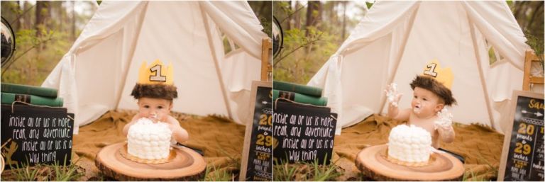 Wild Things Cake Smash