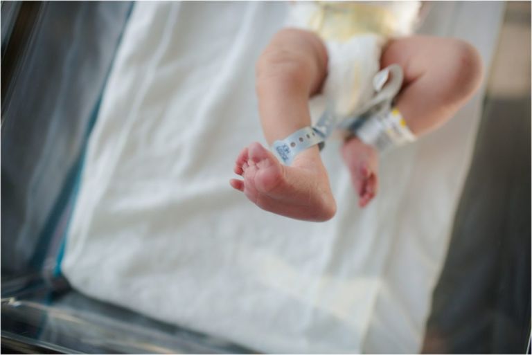 orlando baby pictures 