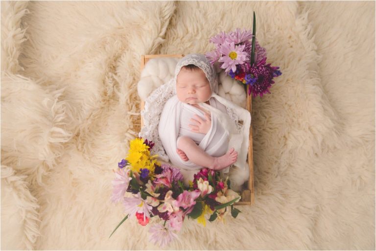 orlando newborn photographer