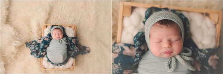 apopka newborn photographer